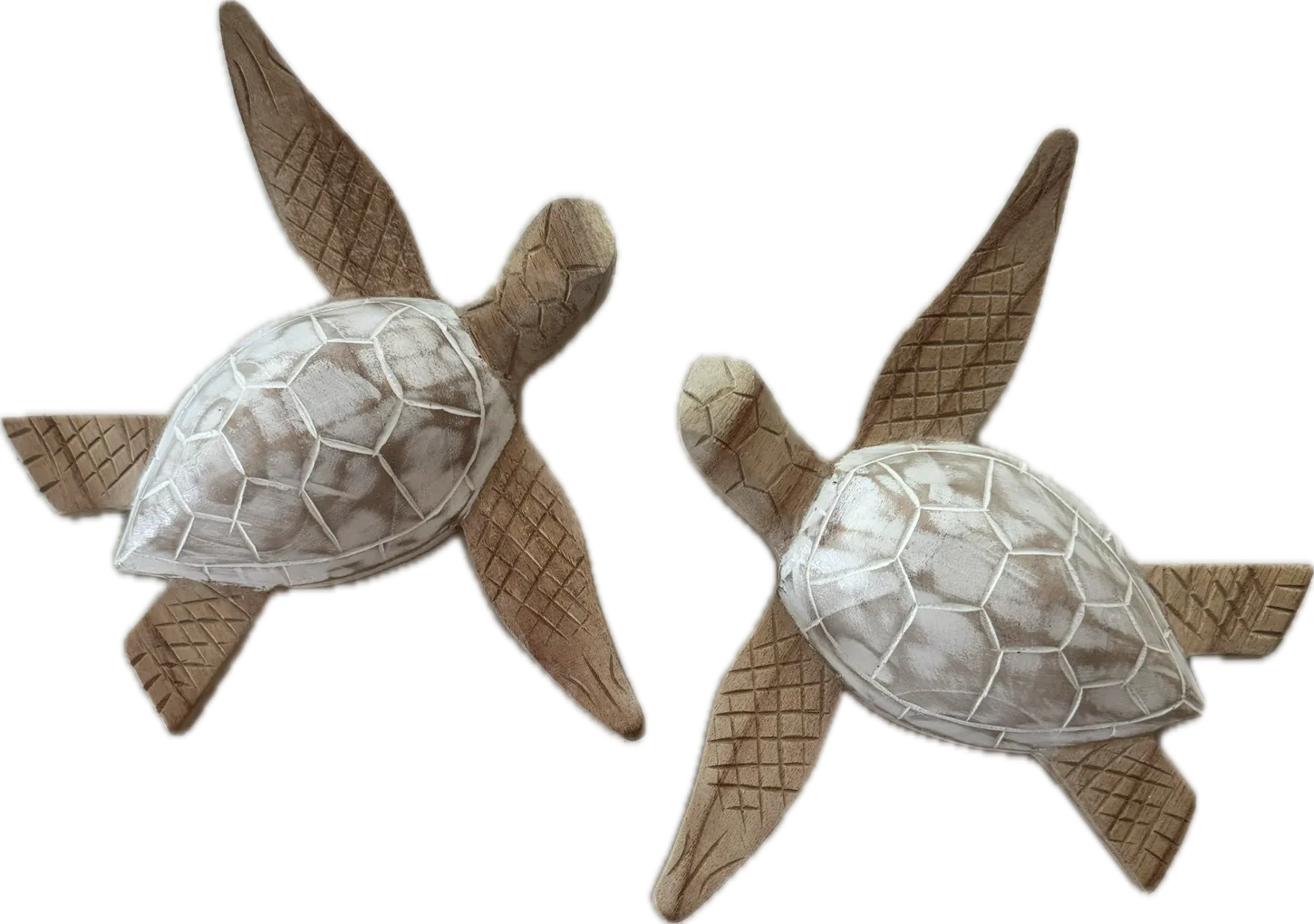 TEAK TURTLE